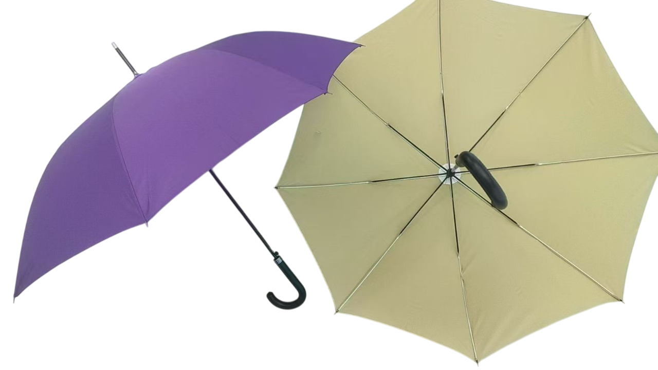 Umbrella
